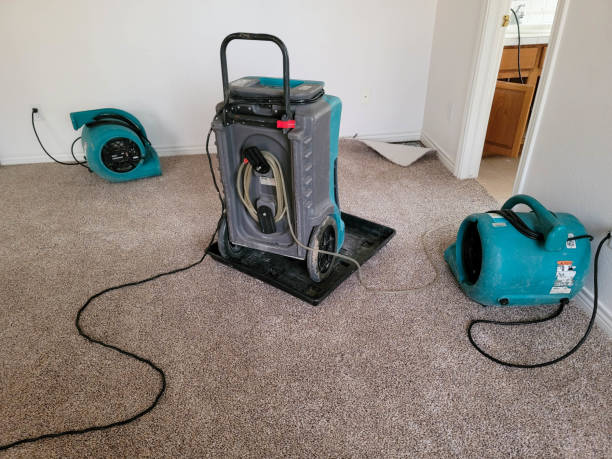 Carpet water damage restoration in IA