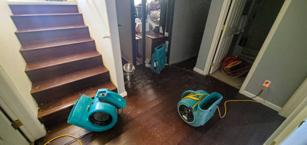 Best Water damage cleanup near me  in Malvern, IA