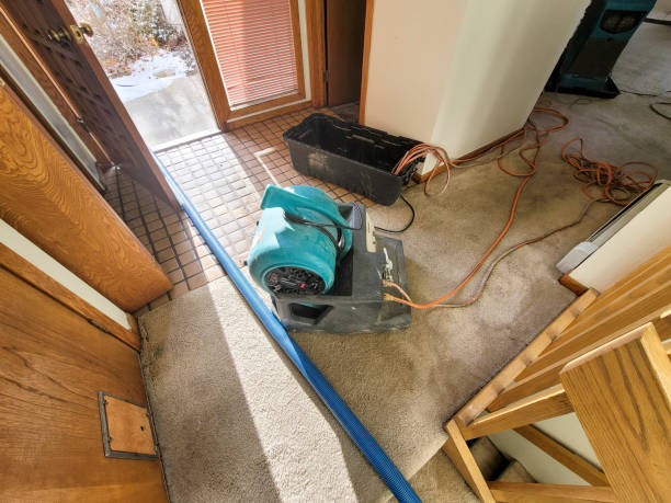Best Professional water damage repair  in Malvern, IA