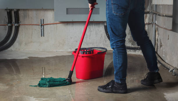Best Water damage repair service  in Malvern, IA