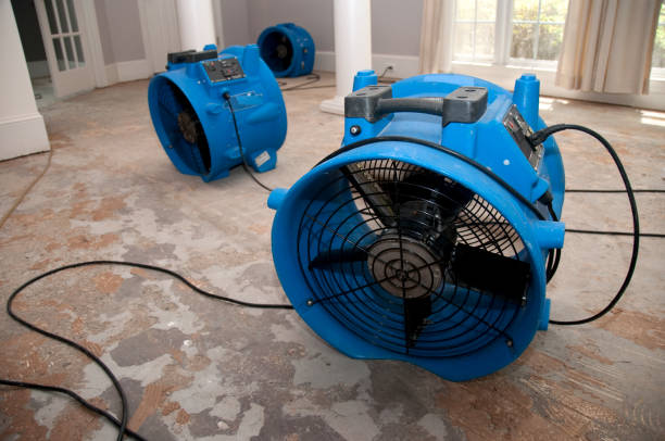 Best Water damage restoration company  in Malvern, IA