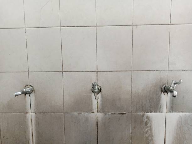 Best Local water damage restoration  in Malvern, IA