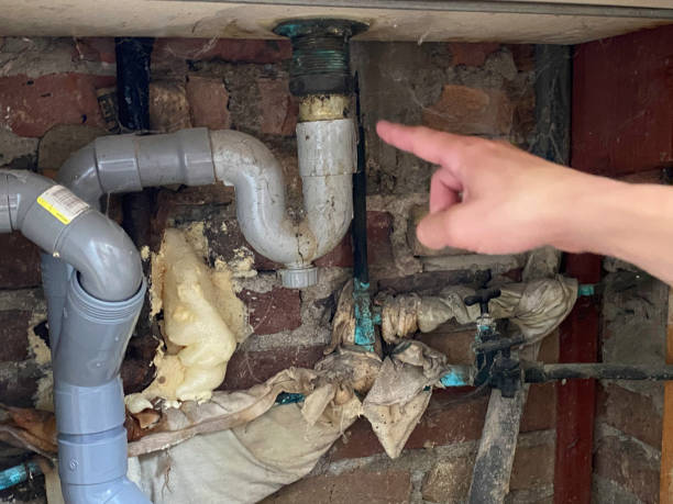 Local water damage restoration in IA