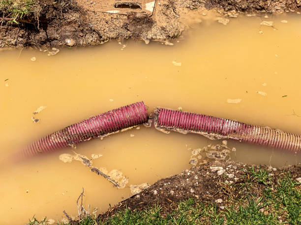 Best Carpet water damage restoration  in Malvern, IA