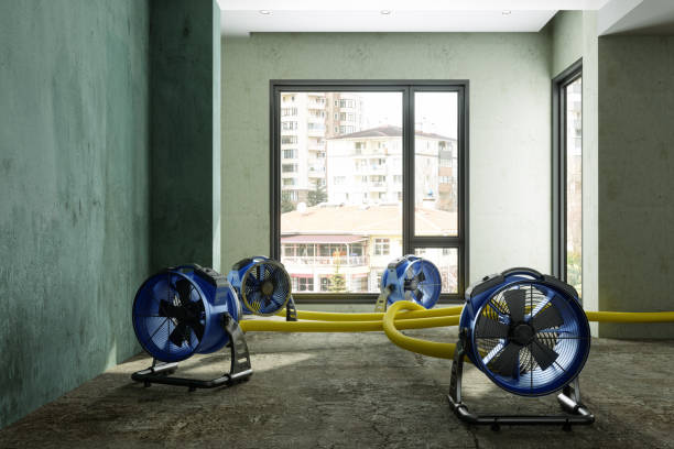 Best Water damage restoration near me  in Malvern, IA